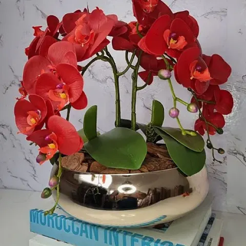 Arranjo Com 4 Orquídeas