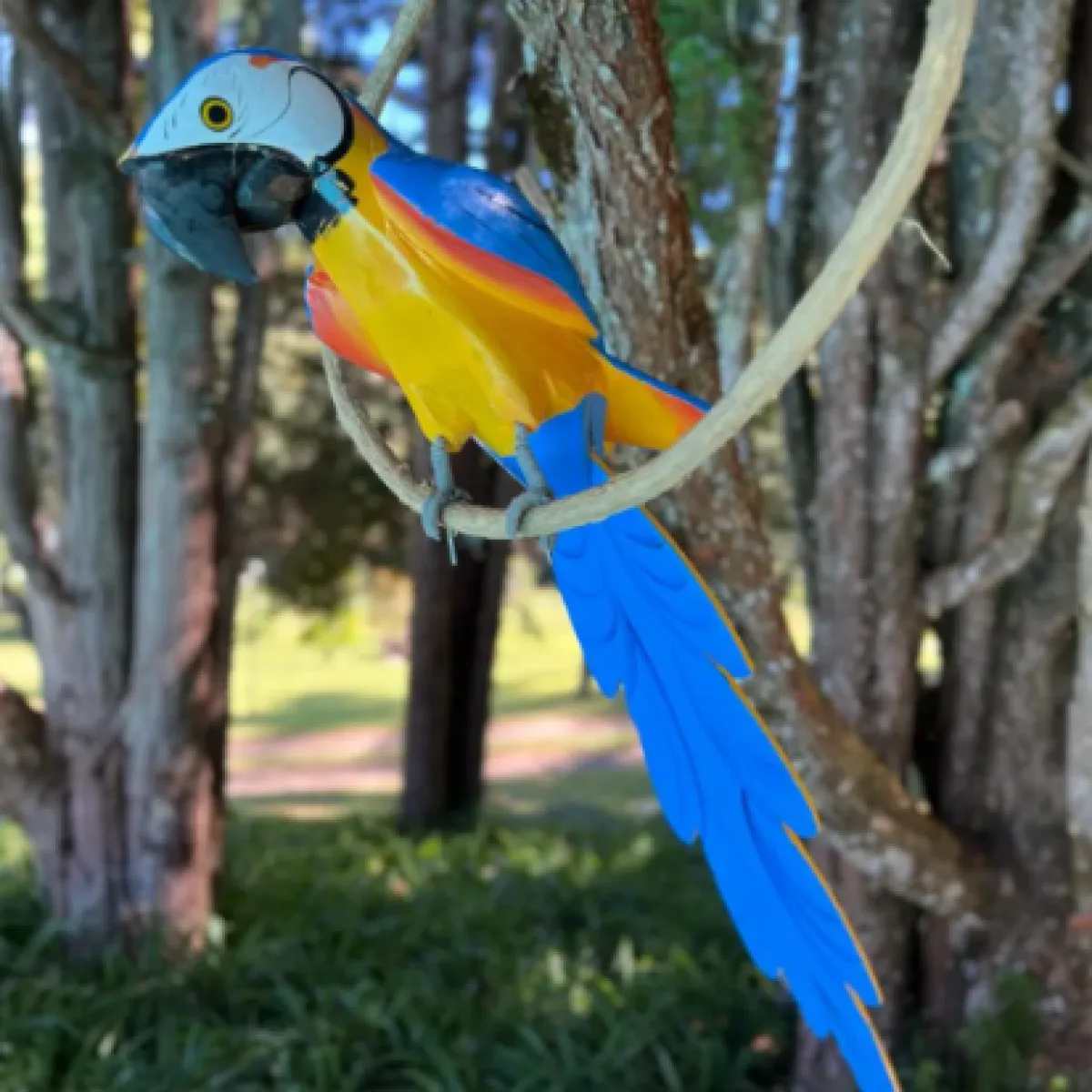 Arara Azul no Cipó de Madeira