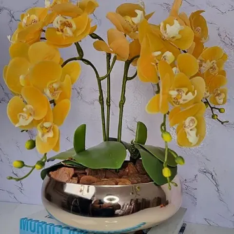 Arranjo Com 4 Orquídeas Amarela
